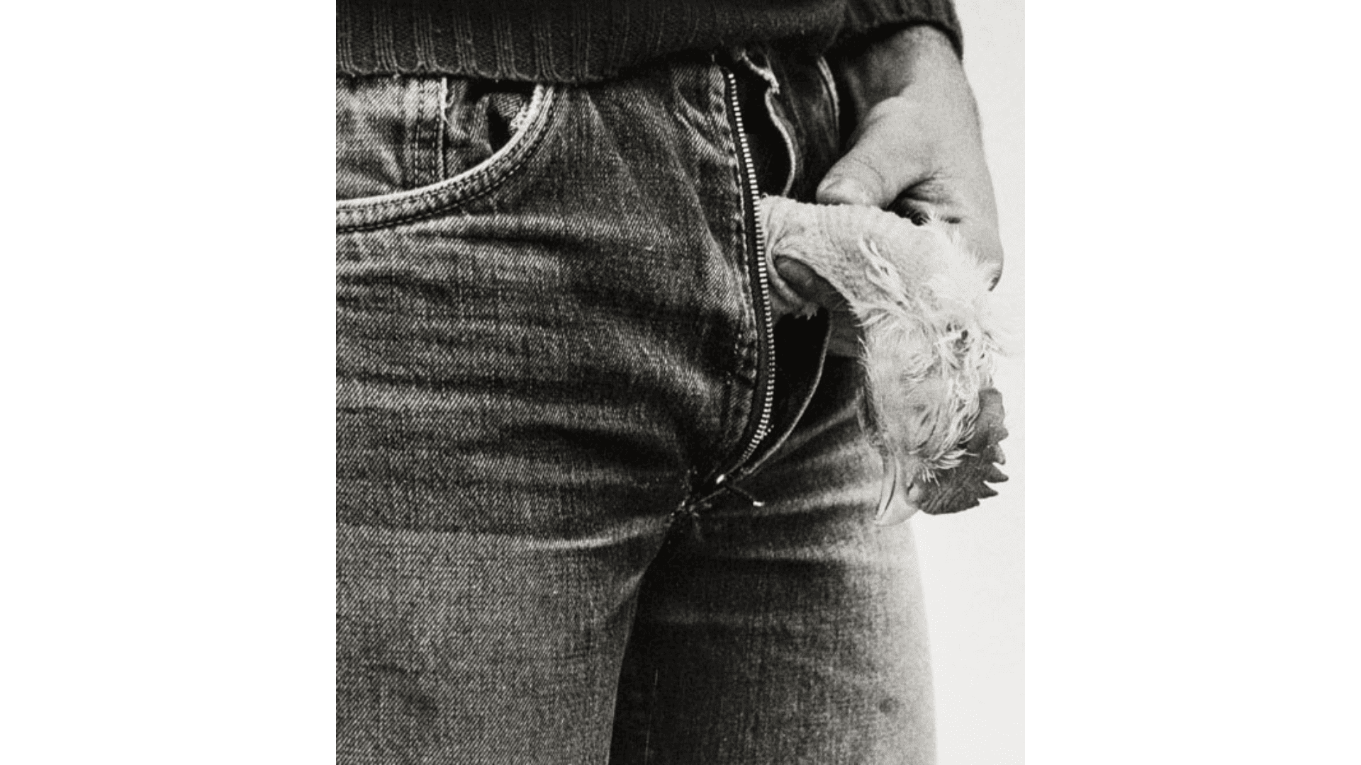 Cartacea Galleria Cartacea Gallery Joan Fontcuberta, Untitled, c.1980 I Vintage Gelatin Silver Print I 24 x 18,5 cm