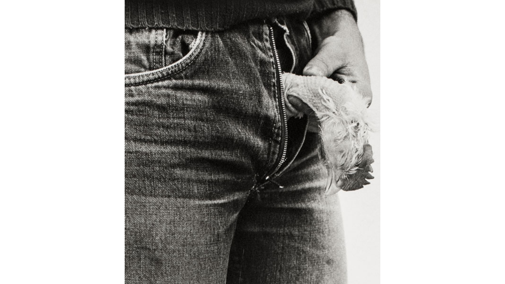 Cartacea Galleria
Cartacea Gallery  Joan Fontcuberta, Untitled, c.1980 I Vintage Gelatin Silver Print I 24 x 18,5 cm