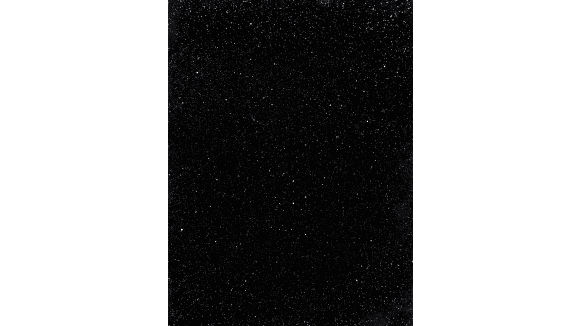 Cartacea Galleria Cartacea Gallery Joan Fontcuberta, Observatori Fabra: Constelación del Cisne, 2020 | Giclée Print on Hahnemühle Museum Etching Paper, Edition of 3 + 1 AP, 60 x 80 cm