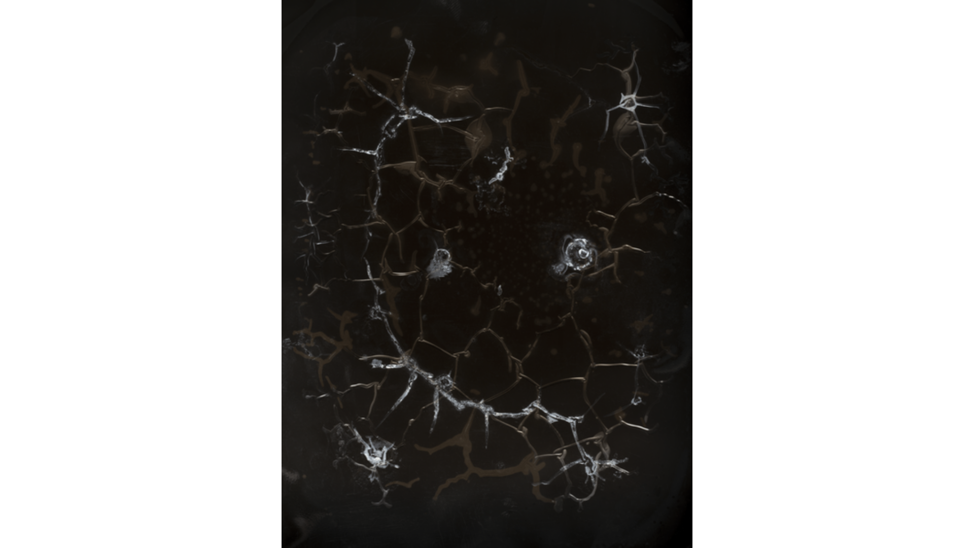 Cartacea Galleria
Cartacea Gallery Joan Fontcuberta, Trauma#2457, 2021 | Giclée Print on Hahnemühle Museum Etching Paper, Edition of 3 + 1 AP, 60 x 80 cm