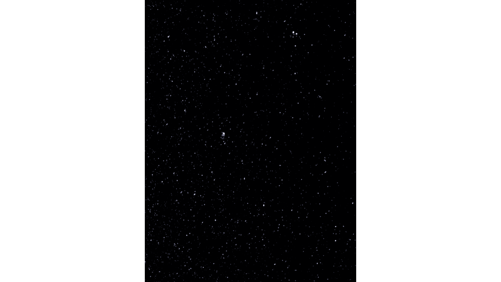 Cartacea Galleria Cartacea Gallery Joan Fontcuberta, Constel·lacions. MN3: Canes Venatici (NGC 5272), 1993 | Giclée Print on Hahnemühle Museum Etching Paper, Edition of 3 + 1 AP, 60 x 80 cm