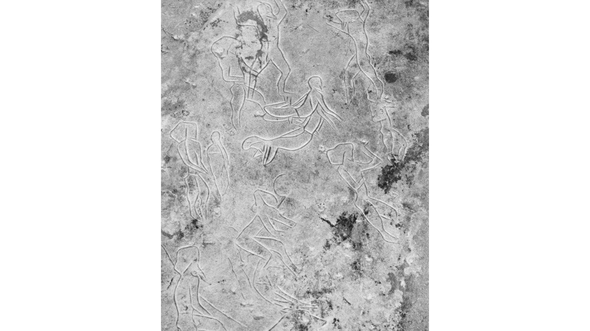 Giulia Parlato, "Mermaids, Athletes and Wizards", giclée print - Edition of 8 Cartacea Galleria Cartacea Gallery