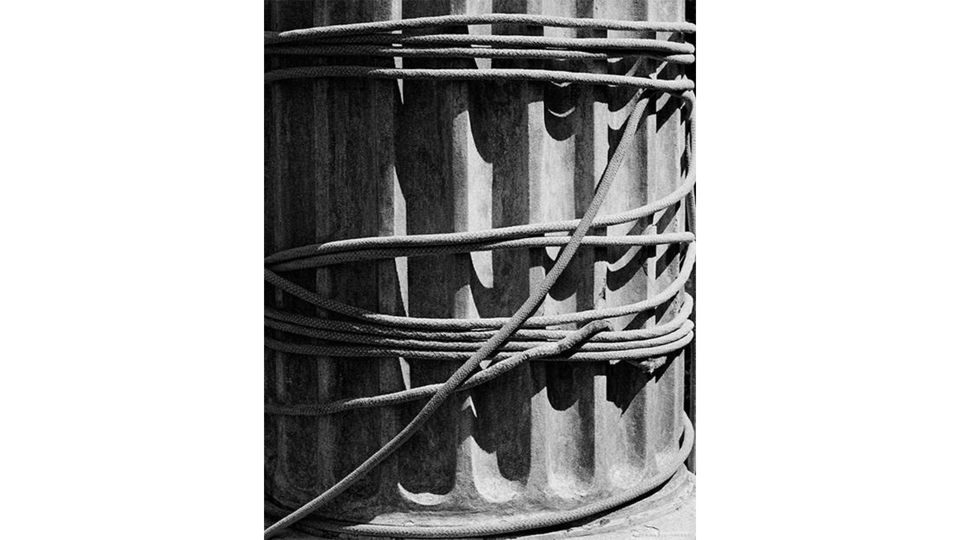 Giulia Parlato, "In Preservation, In Destruction", giclée print - Edition of 8 Cartacea Galleria Cartacea Gallery