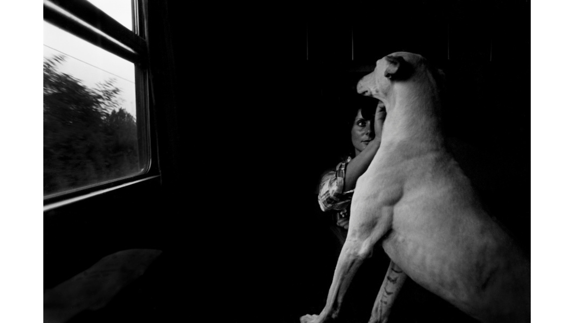 Roberto Salbitani - Il viaggiatore parallelo (1974-1982) Cartacea Galleria Cartacea Gallery