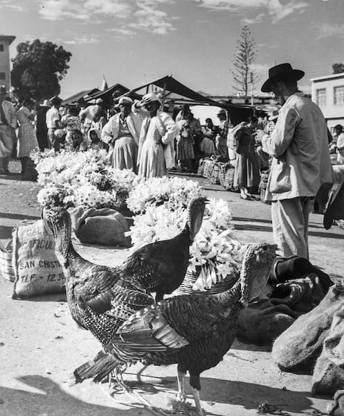 Leo Matiz, Il mercato (San Cristohal, Venezuela), 1949 Silver Gelatin Print Cartacea Galleria Cartacea Gallery
