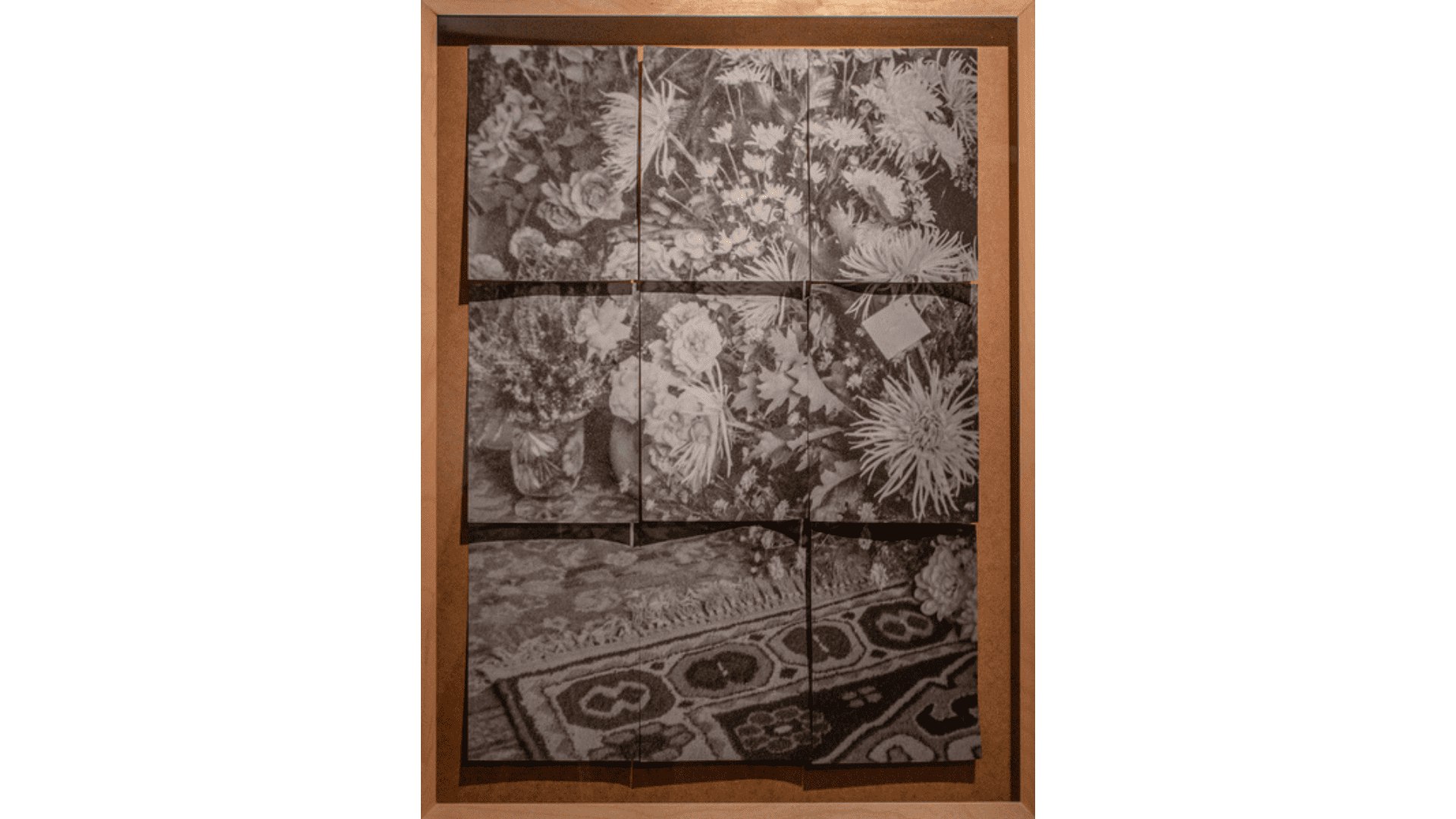 Lucrezia Zanardi, "Blumen" Cartacea Galleria Cartacea Gallery