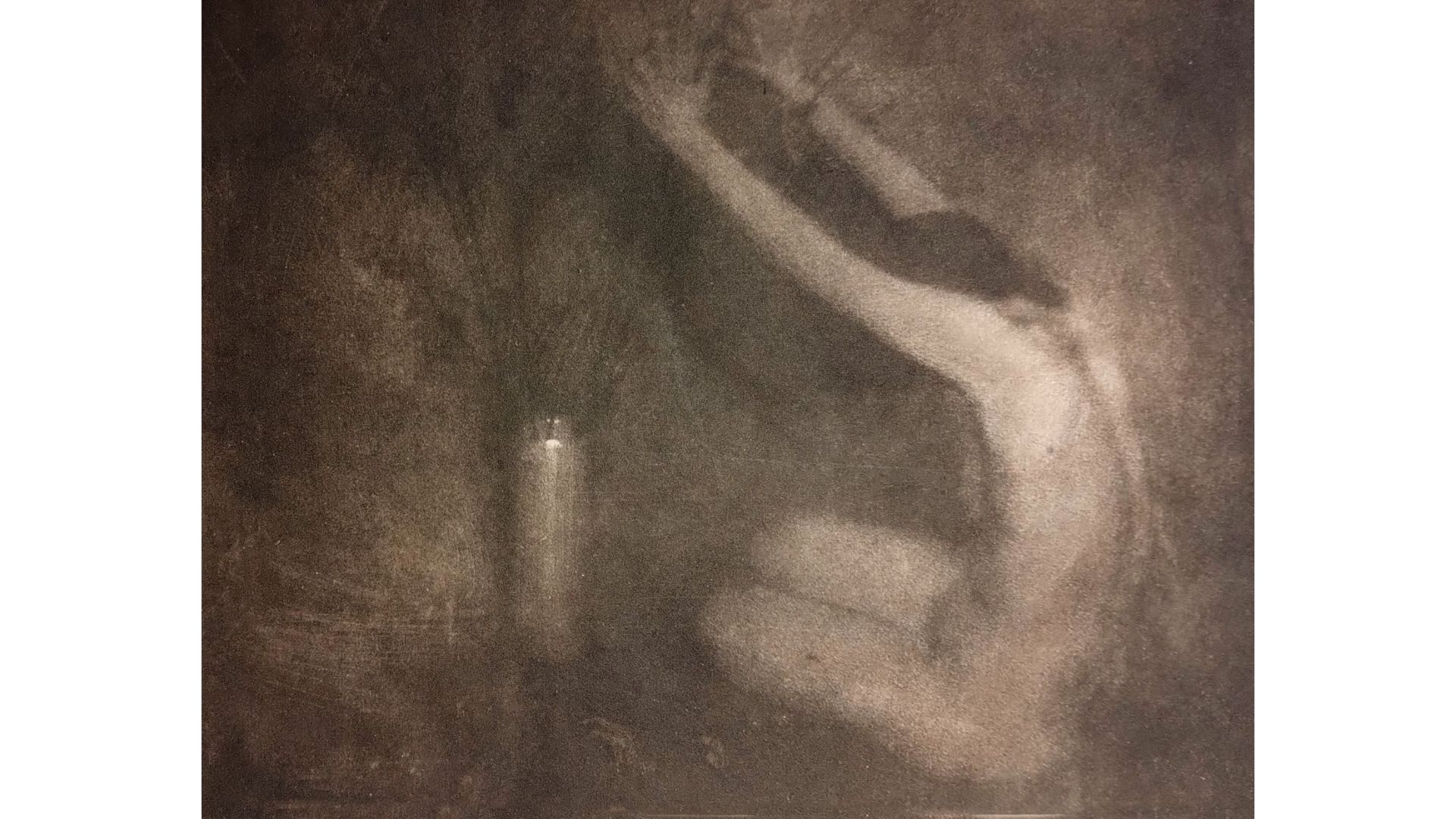 Dawn-flowers, 1903 Photogravure
Cartacea Galleria 
Cartacea Gallery
Edward Steichen