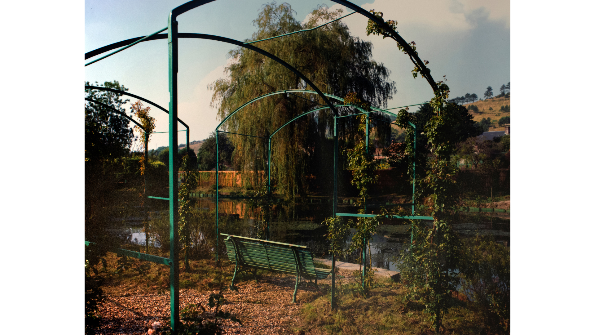 Stephen Shore |The Gardens at Giverny |chromogenic print | 41 x 51 cm Cartacea Galleria Cartacea Gallery