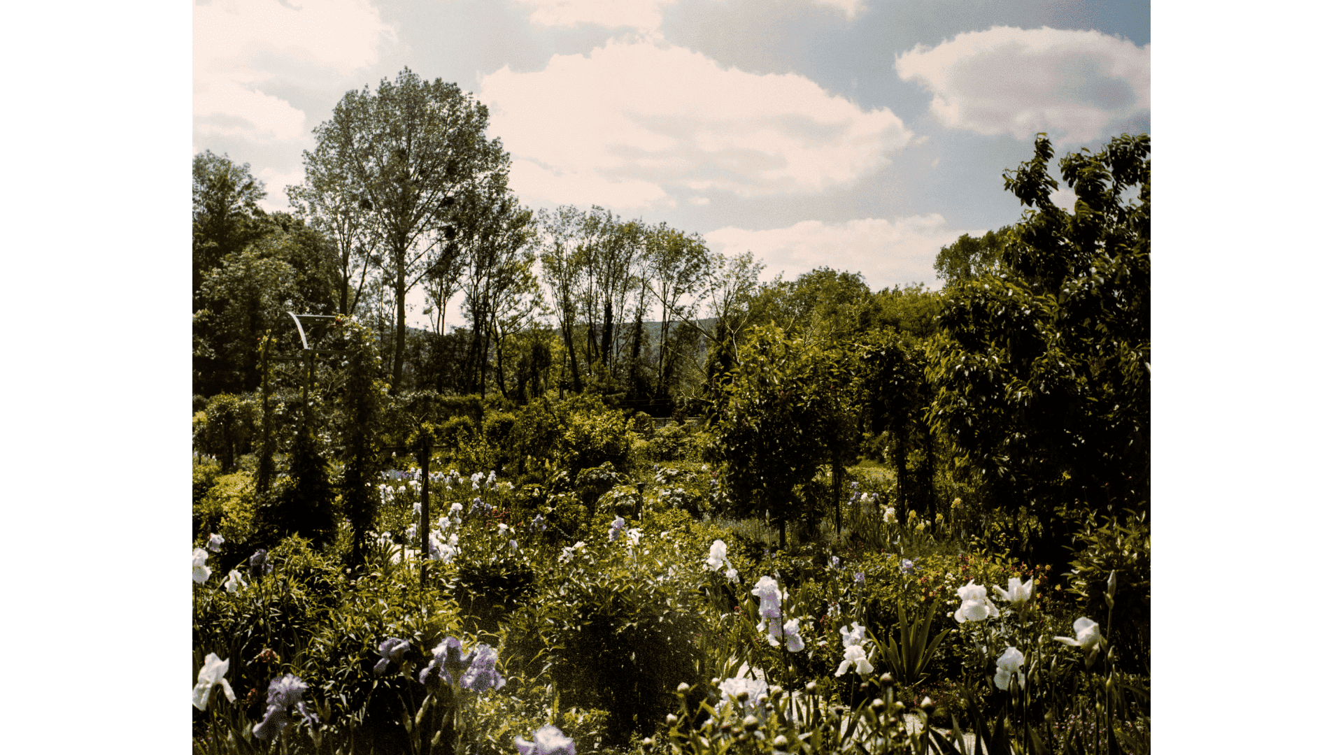 Stephen Shore |The Gardens at Giverny |chromogenic print | 41 x 51 cm Cartacea Galleria Cartacea Gallery