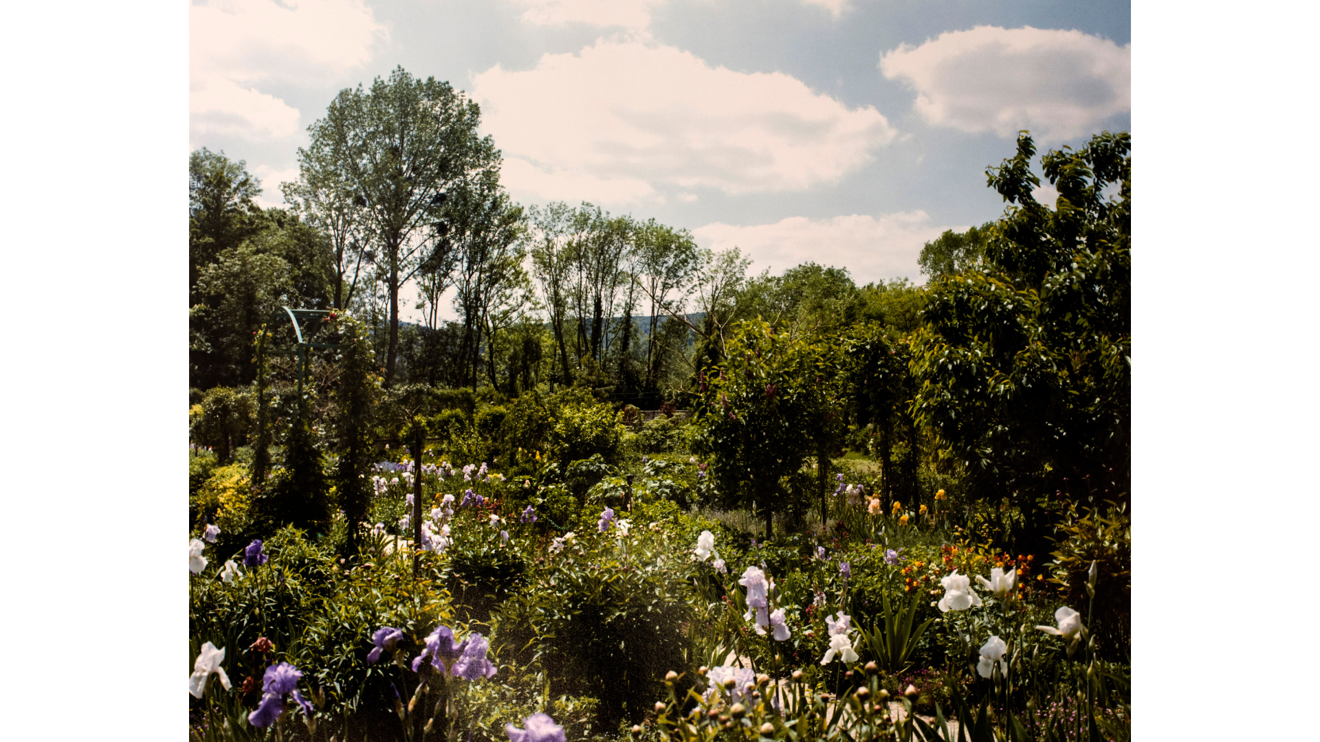 Stephen Shore |The Gardens at Giverny |chromogenic print | 41 x 51 cm Cartacea Galleria Cartacea Gallery